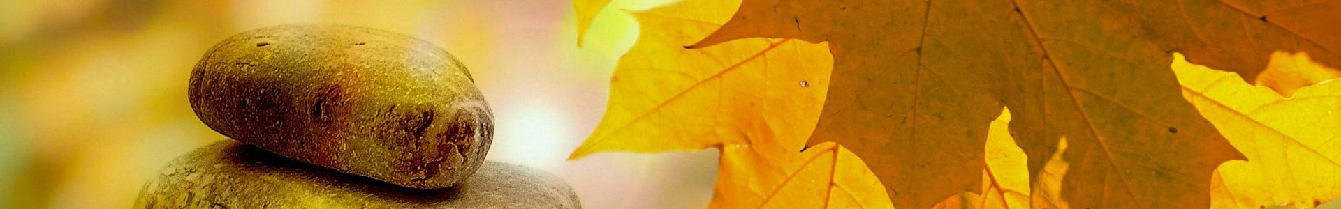 ML-Sophrologie - A qui s'adresse la sophrologie ?