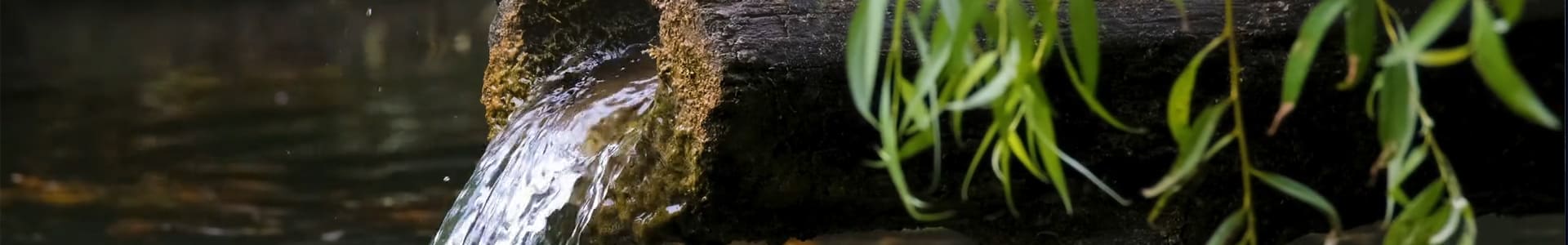 ML-Sophrologie - Contribuer à la performance de l'entreprise